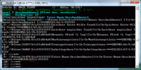 useitem_bug.gif